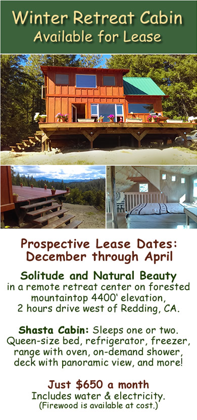 Winter Retreat Cabin